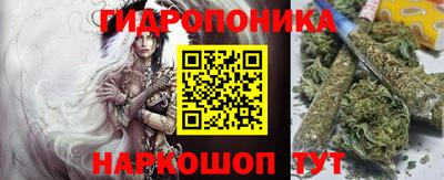 эйфоретик Камышлов