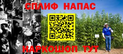 эйфоретик Камышлов