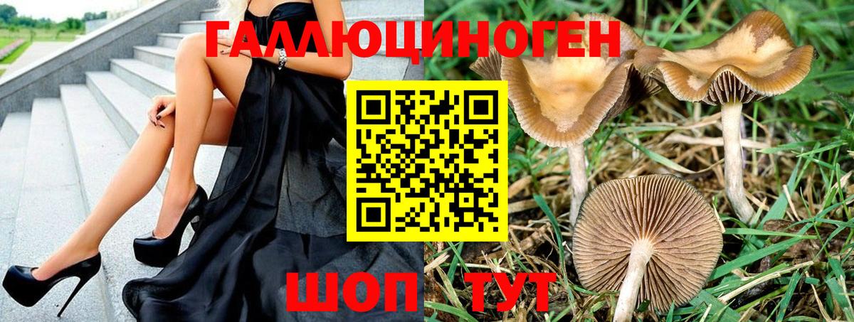 Псилоцибиновые грибы мухоморы  Вход с VPN  Янаул 