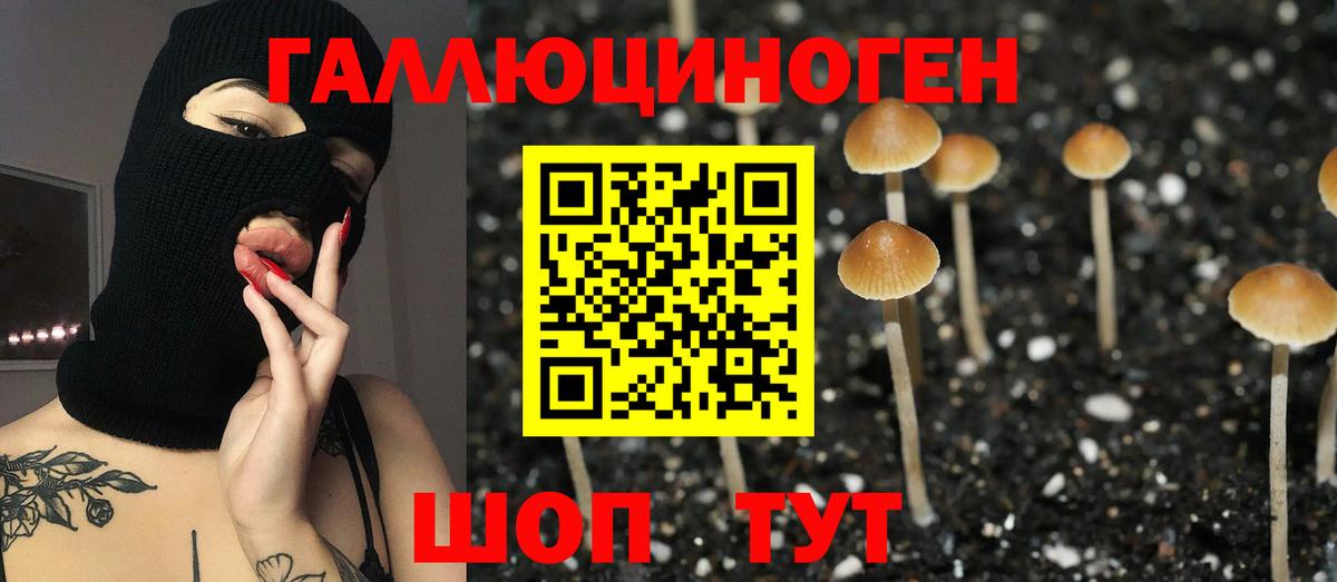 Псилоцибиновые грибы прущие грибы Янаул
